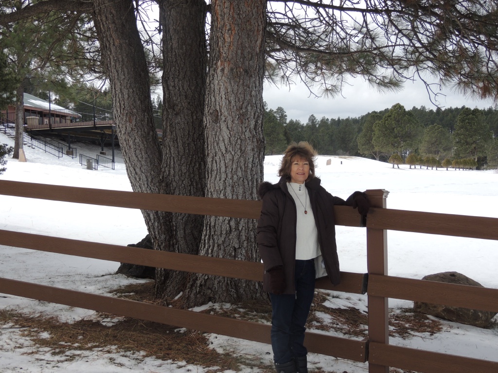 2015/12(December)/Ruidoso/1024x768_DSCN3130.JPG