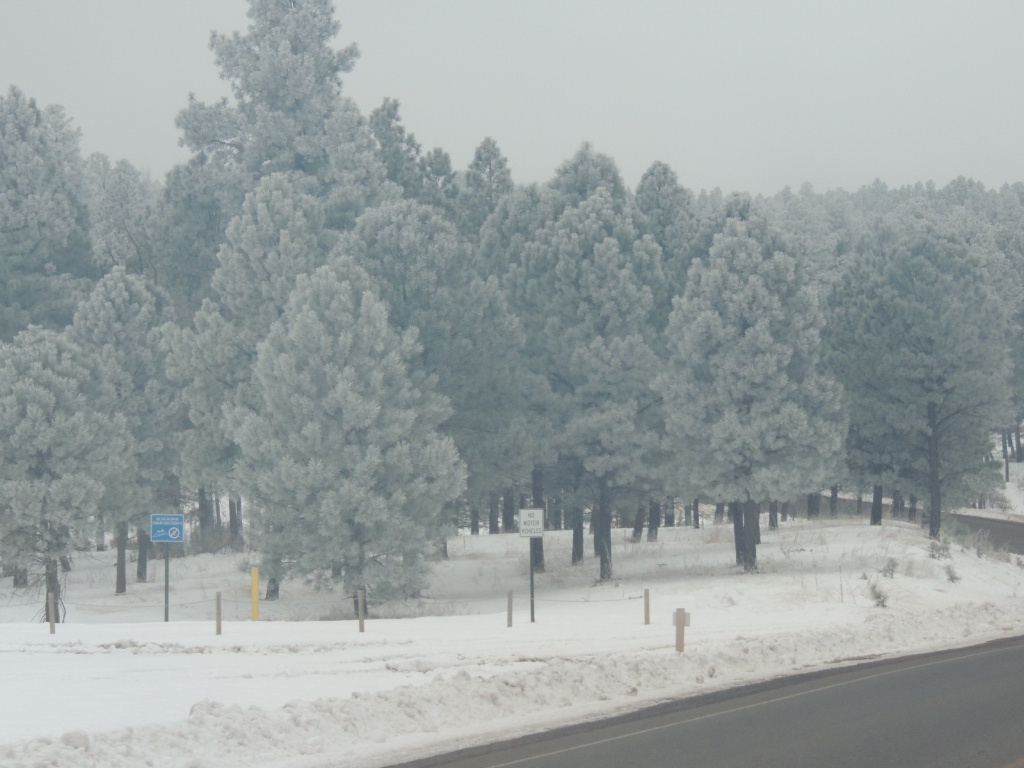 2015/12(December)/Ruidoso/1024x768_DSCN3160.JPG