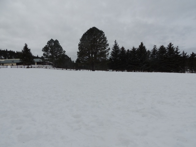 2015/12(December)/Ruidoso/640x480_DSCN3115.JPG