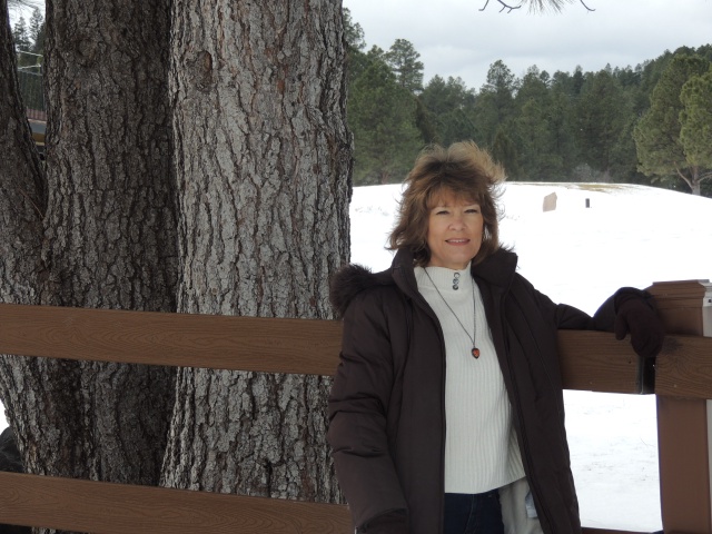 2015/12(December)/Ruidoso/640x480_DSCN3131.JPG