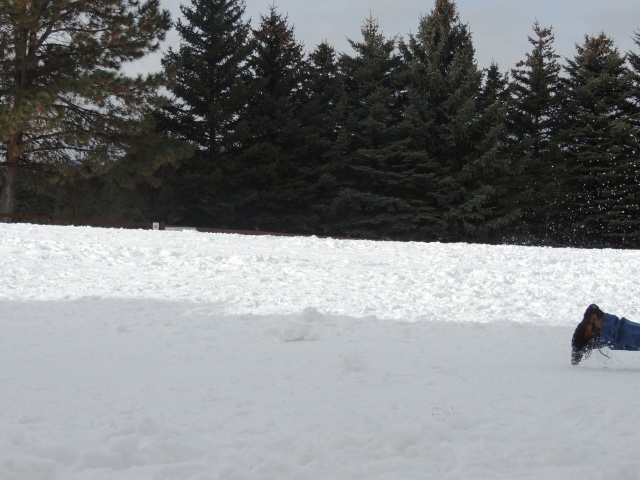 2015/12(December)/Ruidoso/640x480_DSCN3139.JPG
