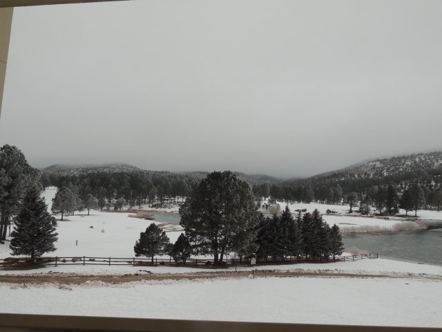 2015/12(December)/Ruidoso/640x480_DSCN3155.JPG