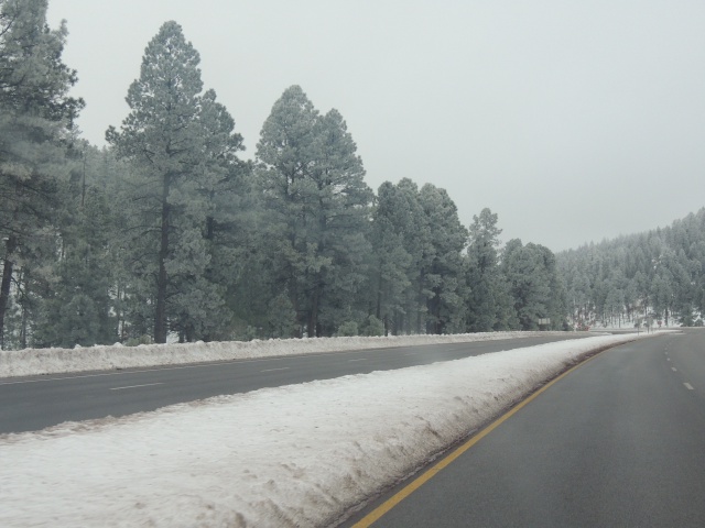 2015/12(December)/Ruidoso/640x480_DSCN3161.JPG