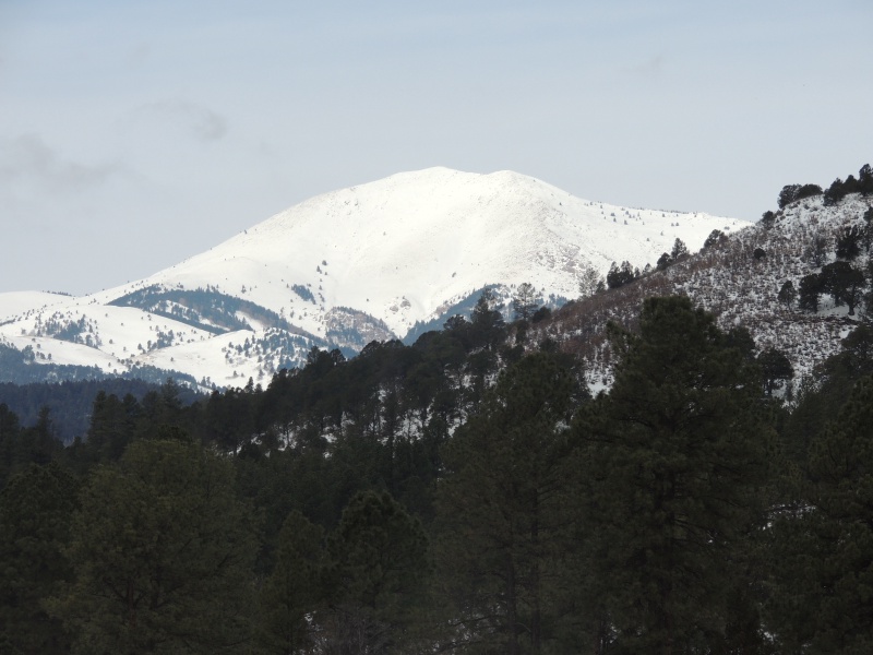 DSCN3113.JPG