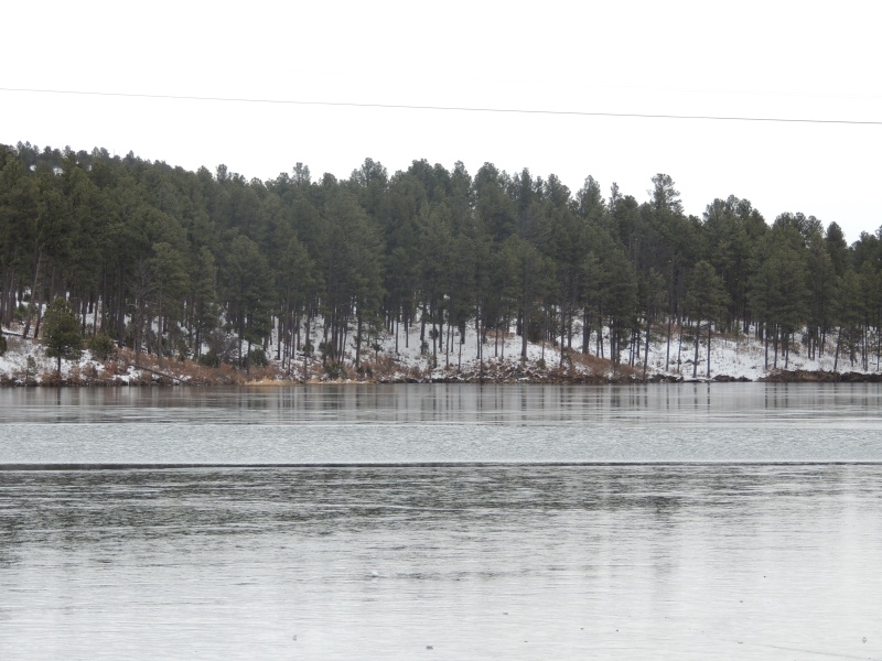 DSCN3117.JPG