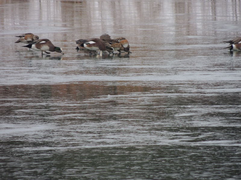 DSCN3122.JPG