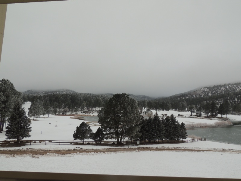 DSCN3155.JPG