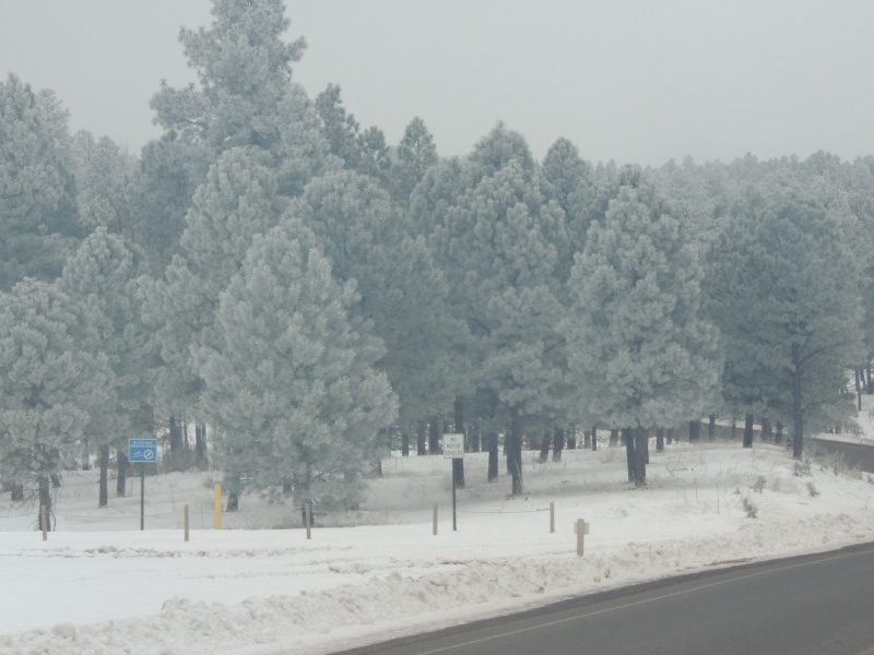 DSCN3160.JPG