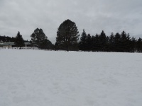 DSCN3115.JPG