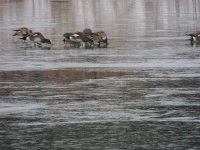 DSCN3122.JPG