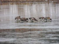 DSCN3123.JPG
