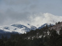 DSCN3141.JPG