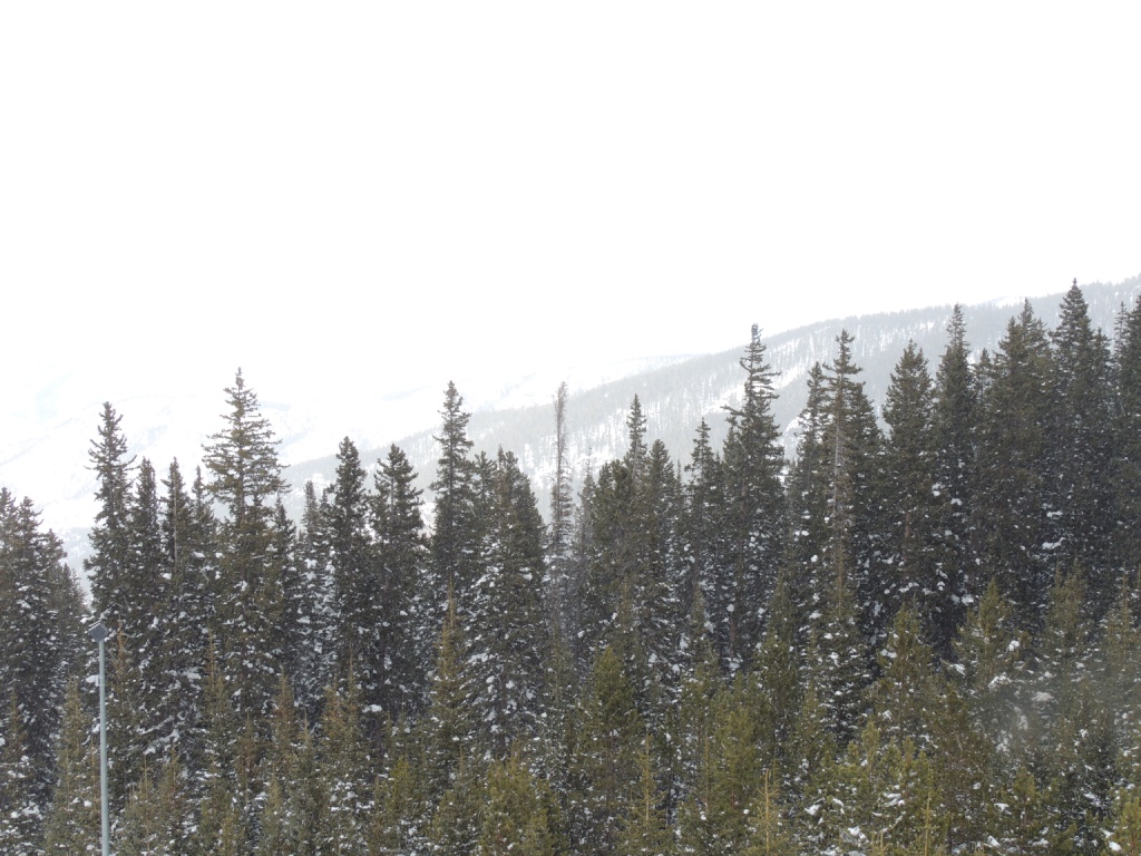 DSCN6034.JPG