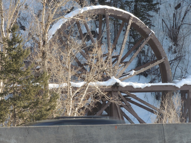 2021/04(April)/Colorado/800x600_DSCN6032.JPG
