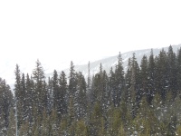DSCN6034.JPG