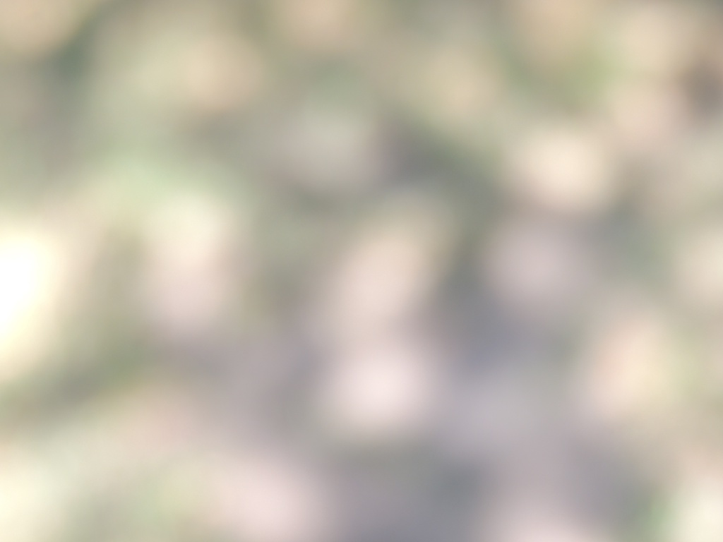 DSCN6077.JPG