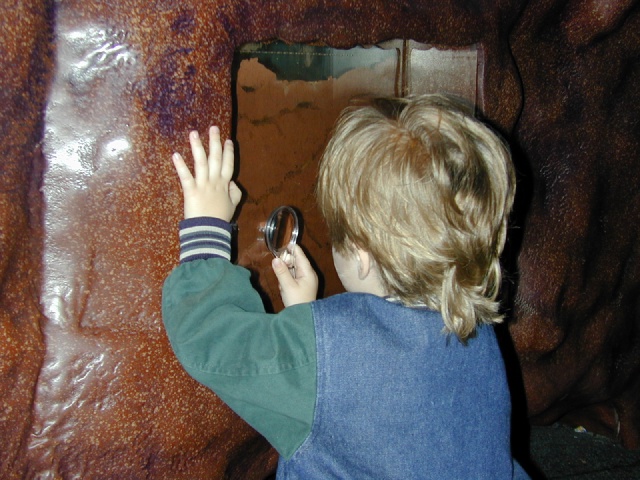 77.jpg