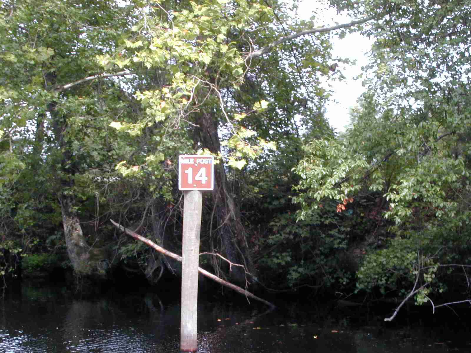 6_-_New_mile_markers_Dismal_Swamp.JPG