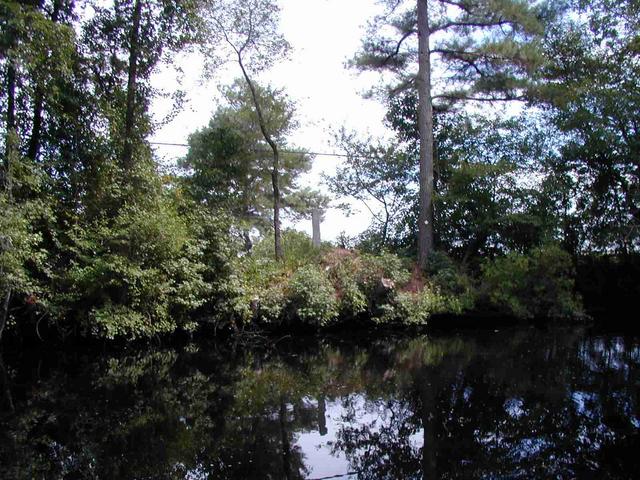 7_-_Original_concrete_marker_Dismal_Swamp.JPG