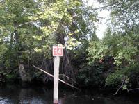 6_-_New_mile_markers_Dismal_Swamp.JPG