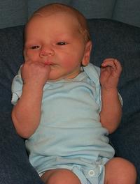 P0001132-copy.JPG