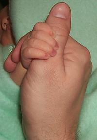 P0001189-copy.JPG