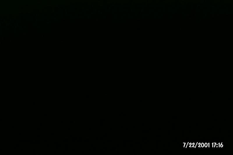 2001/07(July)/SanFrancisco/800x600_P0002922.JPG