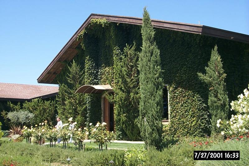 P0002935.JPG