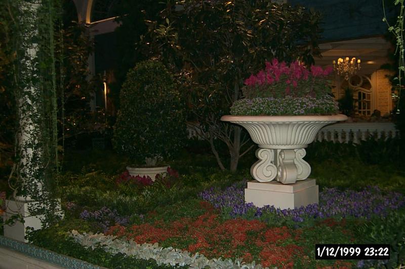 2001/08(August)/Vegas/800x600_P0002949.JPG