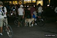 P0003113.JPG