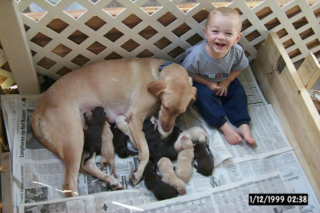 2001/10(October)/1001_New_Pups/640x480_P0003120.JPG