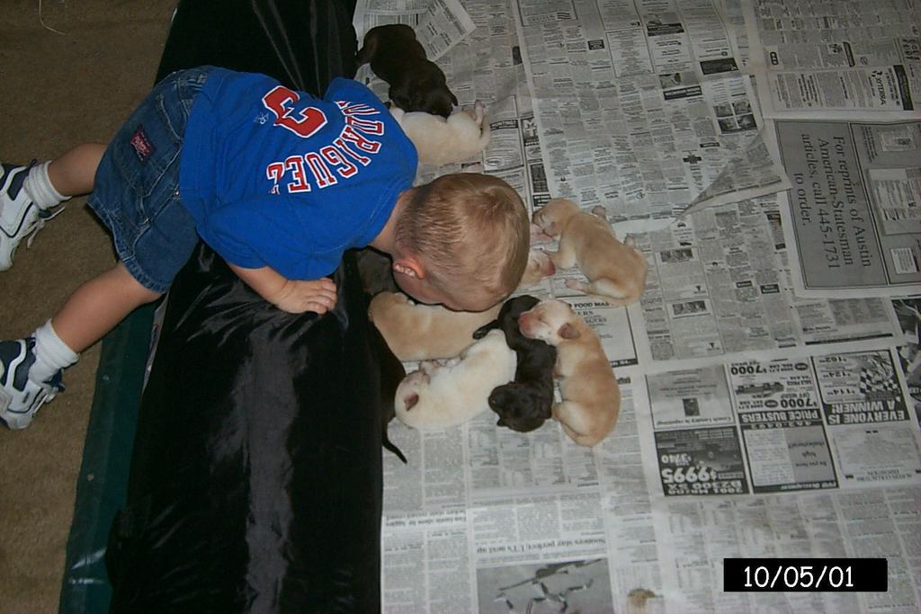 2001/10(October)/1005_Vale_and_Pups/1024x768_P0003129.JPG