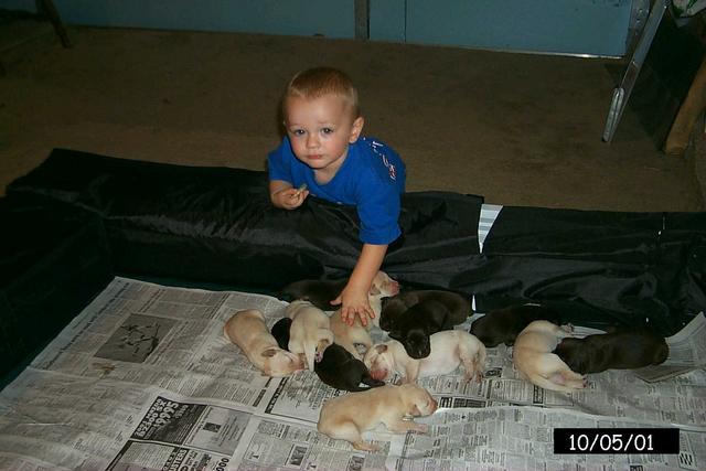 2001/10(October)/1005_Vale_and_Pups/P0003123.JPG