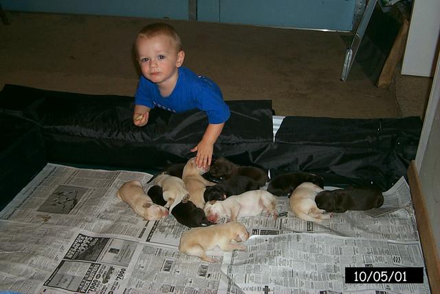 2001/10(October)/1005_Vale_and_Pups/640x480_P0003124.JPG