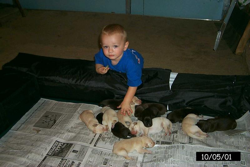 2001/10(October)/1005_Vale_and_Pups/P0003123.JPG