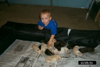 2001/10(October)/1005_Vale_and_Pups/P0003123.JPG