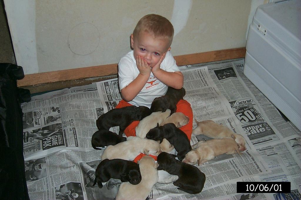 2001/10(October)/1006_Vale_Bath_&_Pups/1024x768_P0003145.JPG