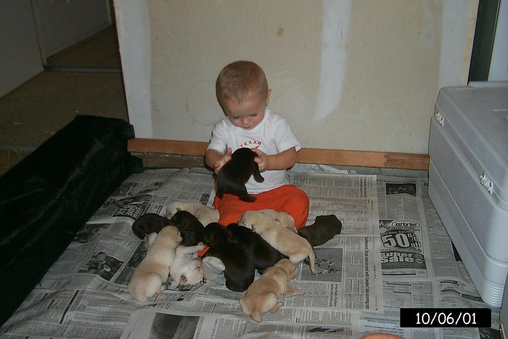 2001/10(October)/1006_Vale_Bath_&_Pups/1024x768_P0003148.JPG