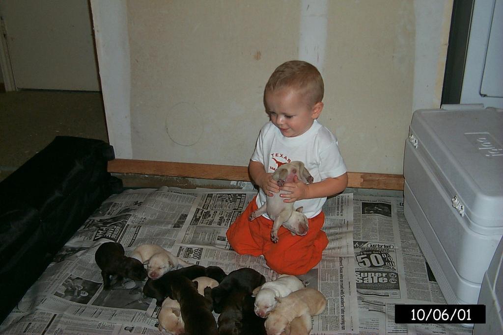 2001/10(October)/1006_Vale_Bath_&_Pups/1024x768_P0003158.JPG