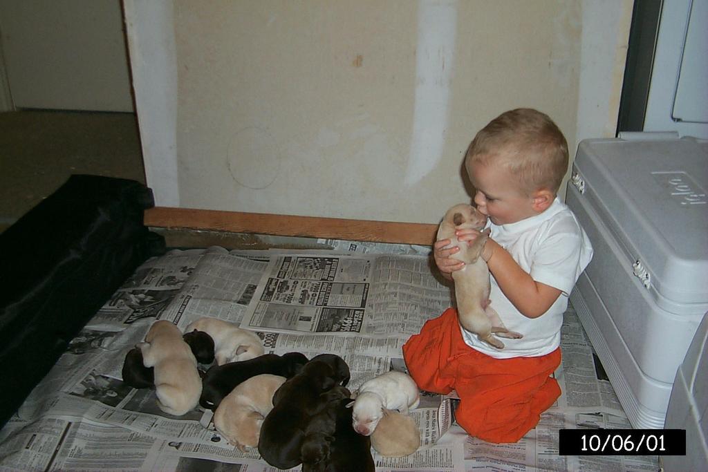 2001/10(October)/1006_Vale_Bath_&_Pups/1024x768_P0003160.JPG