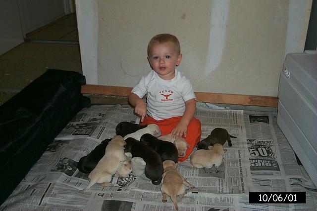 2001/10(October)/1006_Vale_Bath_&_Pups/640x480_P0003147.JPG