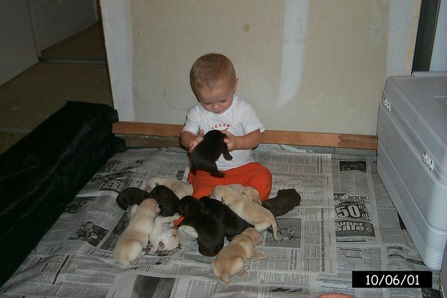 2001/10(October)/1006_Vale_Bath_&_Pups/640x480_P0003148.JPG