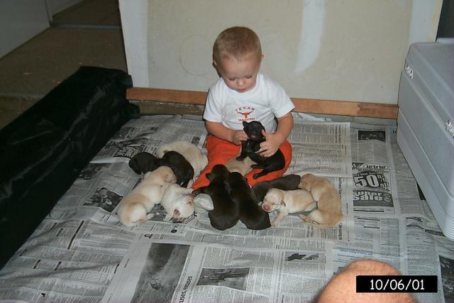 2001/10(October)/1006_Vale_Bath_&_Pups/640x480_P0003149.JPG