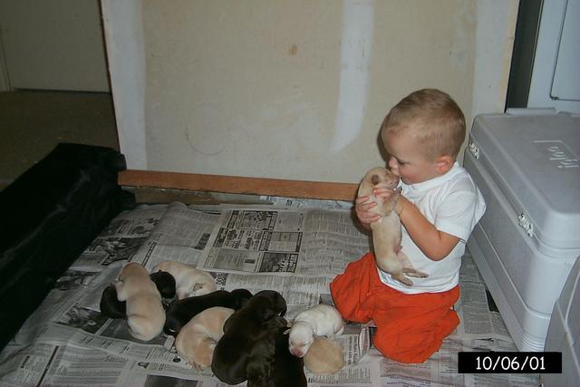 2001/10(October)/1006_Vale_Bath_&_Pups/640x480_P0003160.JPG