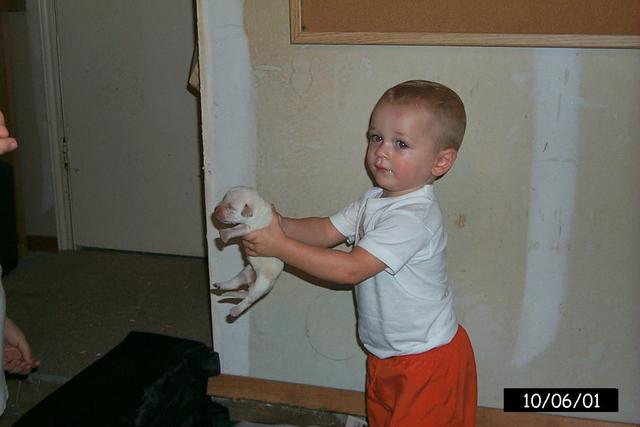 2001/10(October)/1006_Vale_Bath_&_Pups/640x480_P0003162.JPG