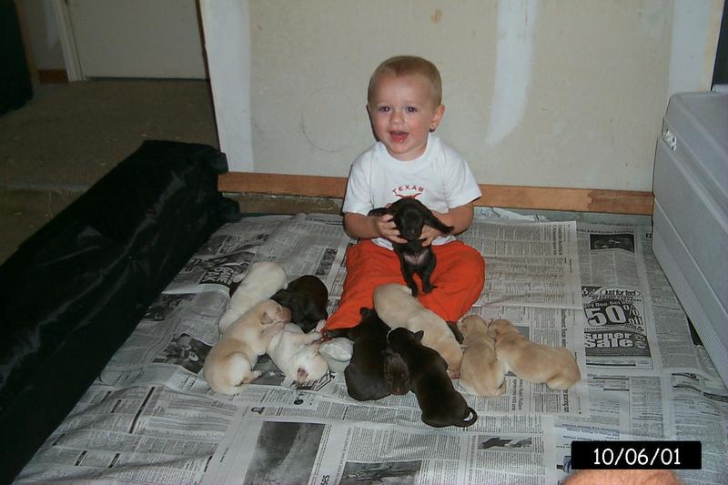 2001/10(October)/1006_Vale_Bath_&_Pups/800x600_P0003151.JPG