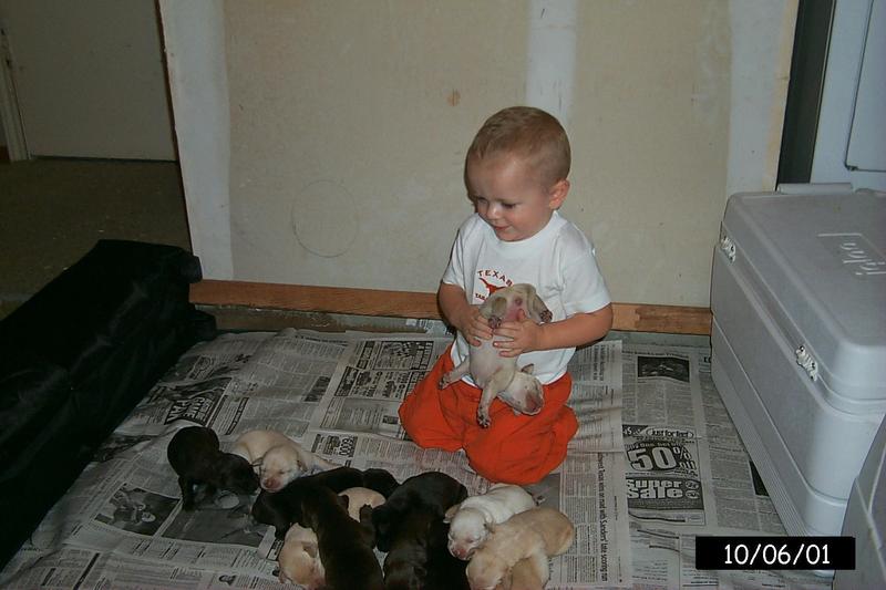 2001/10(October)/1006_Vale_Bath_&_Pups/800x600_P0003158.JPG