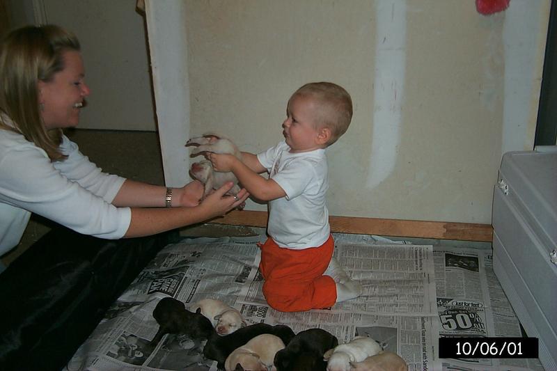 2001/10(October)/1006_Vale_Bath_&_Pups/800x600_P0003159.JPG