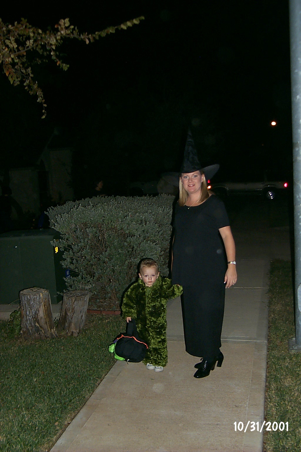 2001/10(October)/1031Halloween/1024x768_P0003275.JPG