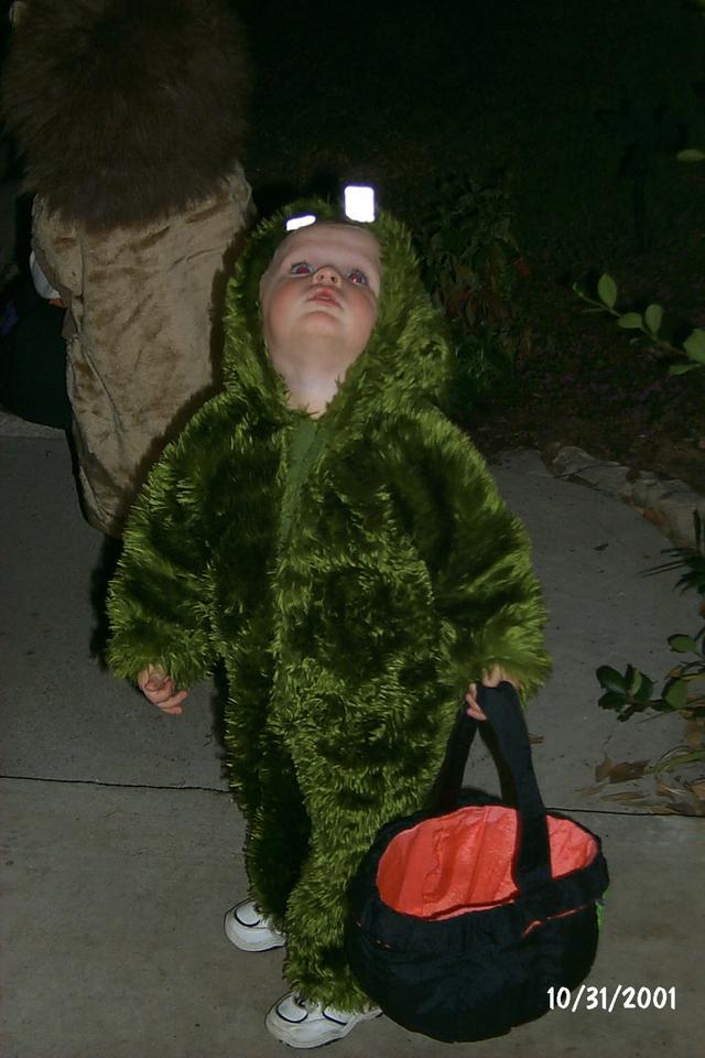 2001/10(October)/1031Halloween/640x480_P0003268.JPG